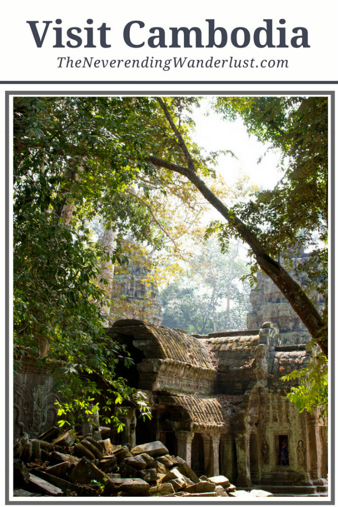 Ta Prohm Angkor Wat Temple Cambodia