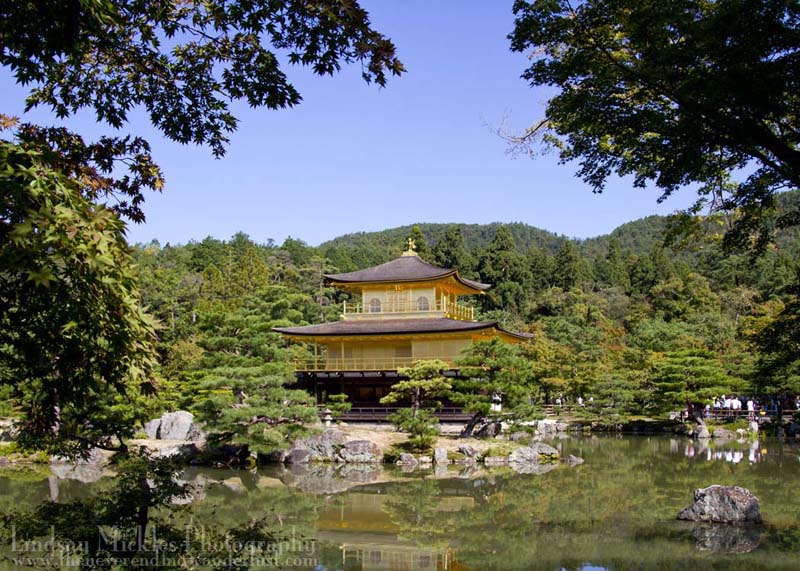 Kinkakuji (金閣寺, Golden Pavilion)
