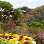 Garden of the Morning Calm, South Korea