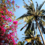 Phu Quoc Island, Vietnam