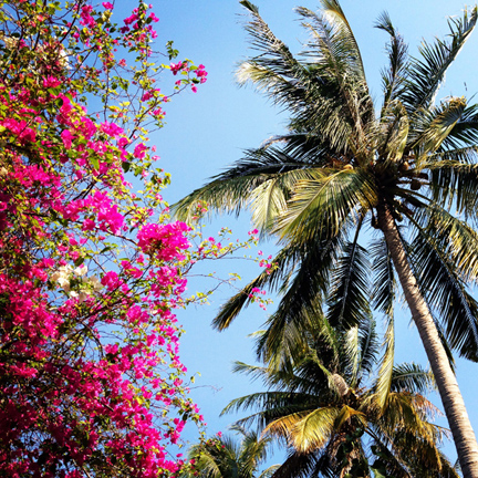Phu Quoc Island: Lovely Little Getaway