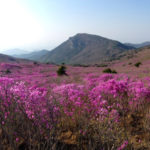 Mt. Biseulsan, South Korea