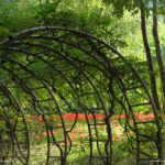 Daegu Arboretum, South Korea