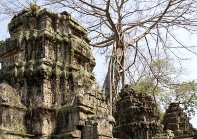 Ta Prohm, Cambodia