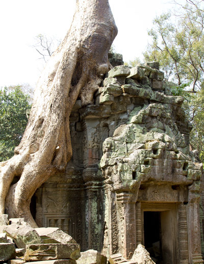 Ta Prohm, Cambodia