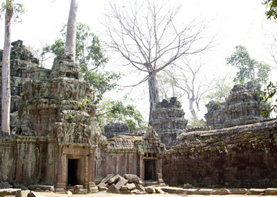 Ta Prohm, Cambodia